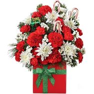 Рождественские цветы в коробке