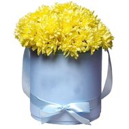 Солнечная коробочка из желтых хризантем