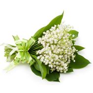 Bouquet of medium-sized lily of the valley