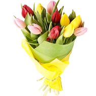 13 тюльпанів