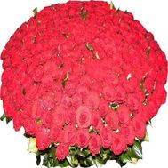 Букет из 501 красной розы