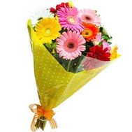 Bouquet of 11 gerberas