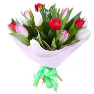Bouquet of 15 multicolored tulips