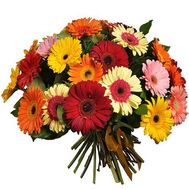 Букет из 35 гербер