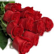 Букет из 11 метровых красных импортных роз