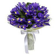 Букет з 15 ірисів