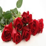 Букет из 7 красных импортных роз