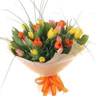 Bouquet of 29 Tulips