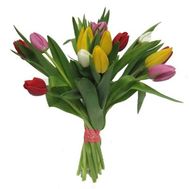 Bouquet of 17 Tulips