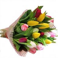 Букет из 25 тюльпанов