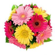 Bouquet of 13 gerberas