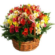 Корзина цветов из 25 альстромерий