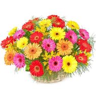 Basket of flowers from 25 gerberas