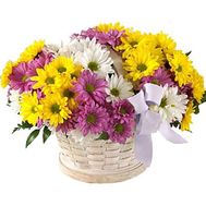 Кошик квітів з 11 хризантем