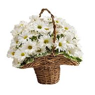 Кошик квітів з 9 хризантем