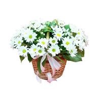 Кошик квітів з 7 хризантем