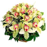 Корзина цветов из 19 орхидей