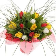 Bouquet of 21 tulips
