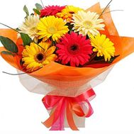 Bouquet of 9 gerberas