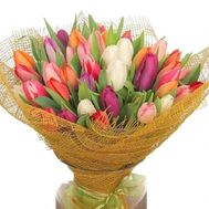 Букет з 85 тюльпанів