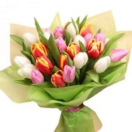 Bouquet of 27 Tulips