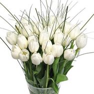 Букет из 35 тюльпанов