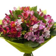 Букет из 17 альстромерий