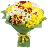 Bouquet of 13 chrysanthemums