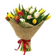Bouquet of 19 Tulips