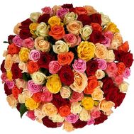 Multicolored roses per piece