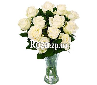 11 white roses 11 white roses