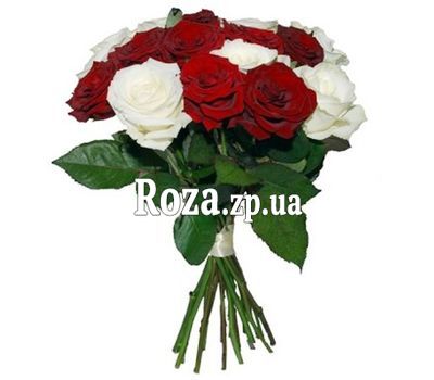 17 красных и белых роз 17 красных и белых роз