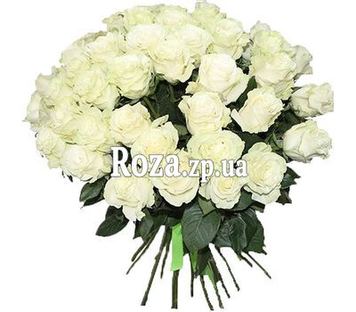 51 белая роза 51 белая роза