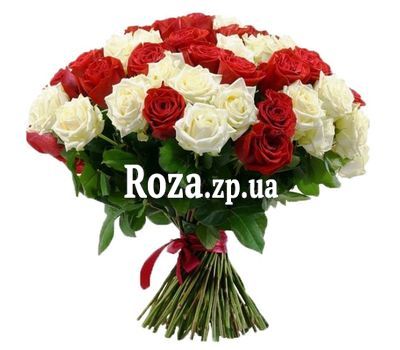 51 красная и белая роза 51 красная и белая роза