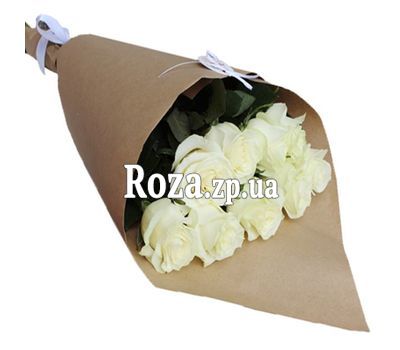 9 white roses 9 white roses