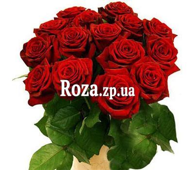 Букет из 15 красных роз Букет из 15 красных роз