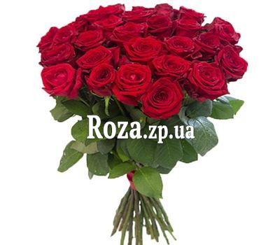 31 алая роза