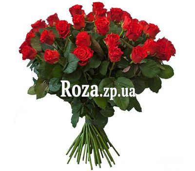 35 red roses 35 red roses