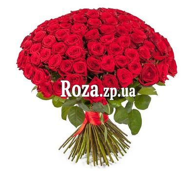 101 красная роза 101 красная роза