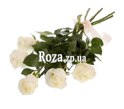 5 белых роз 5 белых роз