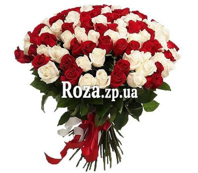 101 червона і біла імпортна троянда