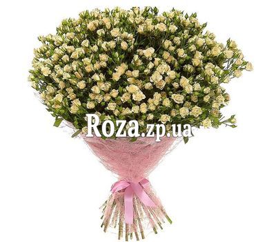 101 кущова троянда кремового кольору