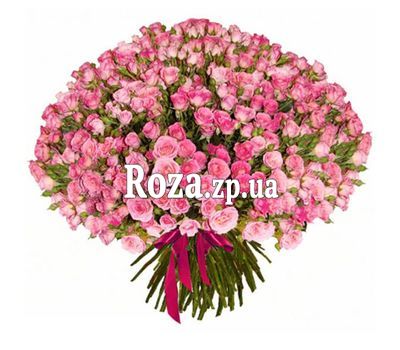 151 кустовая роза 151 кустовая роза