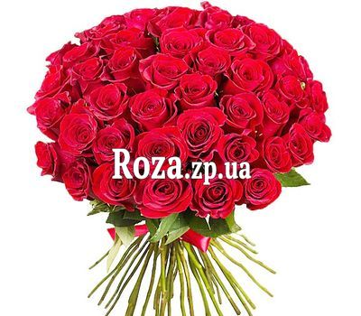 51 красная импортная роза