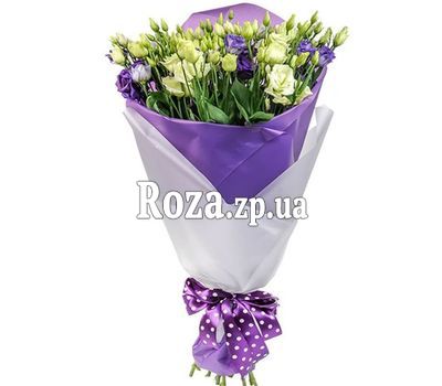 White and violet eustoma White and violet eustoma