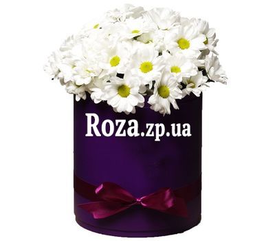 White camomiles in a box White camomiles in a box