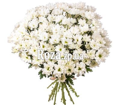 Белые ромашковые хризантемы Белые ромашковые хризантемы