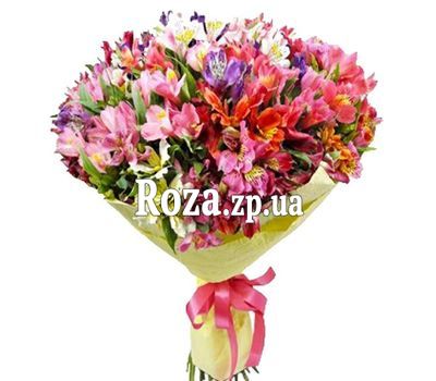 Букет з 51 альстромерії Букет з 51 альстромерії