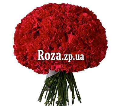 Большой букет гвоздик Большой букет гвоздик