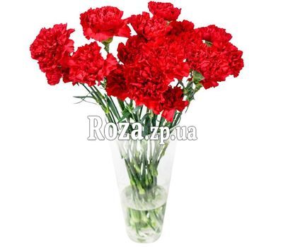 Bouquet of carnations Bouquet of carnations
